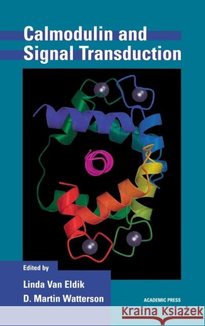 Calmodulin and Signal Transduction Linda Va D. Martin Watterson 9780127138602 Academic Press - książka