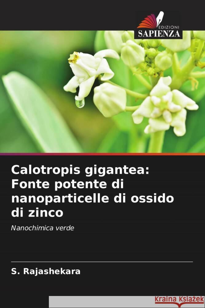 Calotropis gigantea: Fonte potente di nanoparticelle di ossido di zinco S. Rajashekara Arshika Shrivastava Sankranthi Sumhita 9786204877846 Edizioni Sapienza - książka