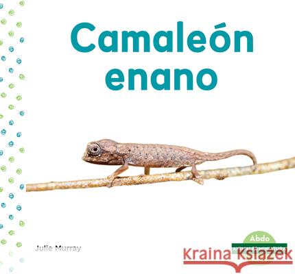 Camaleón Enano (Leaf Chameleon) Murray, Julie 9781098204204 Abdo Kids - książka