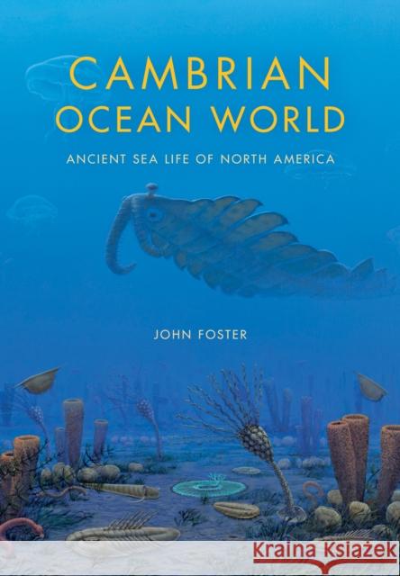 Cambrian Ocean World: Ancient Sea Life of North America Foster, John 9780253011824 Indiana University Press - książka