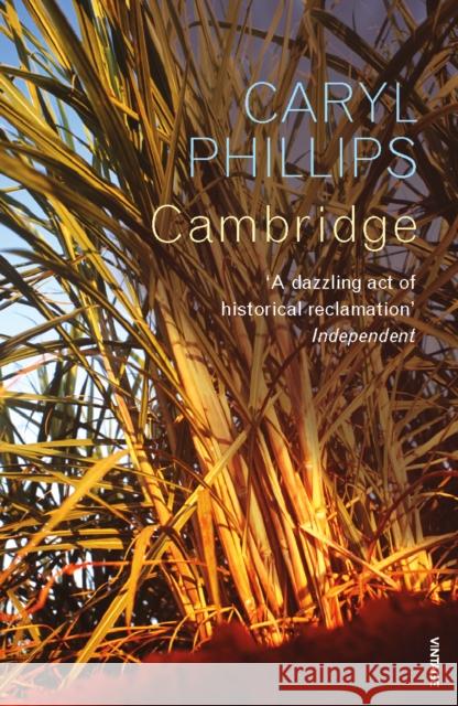 Cambridge Caryl Phillips 9780099520566  - książka