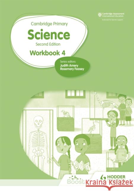 Cambridge Primary Science Workbook 4 Second Edition Andrea Mapplebeck Deborah Herridge Helen Lewis 9781398301511 Hodder Education - książka