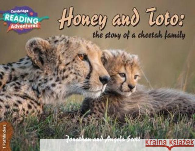 Cambridge Reading Adventures Honey and Toto: The Story of a Cheetah Family 1 Pathfinders Jonathan and Angela Scott 9781108436151 Cambridge University Press - książka