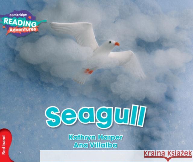 Cambridge Reading Adventures Seagull Red Band Kathryn Harper, Ana Villalba 9781316503102 Cambridge University Press - książka