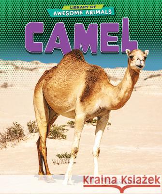 Camel Jenna Grodzicki 9781636911465 Bearport Books - książka