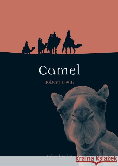 Camel Robert Irwin 9781861896490 Reaktion Books - książka