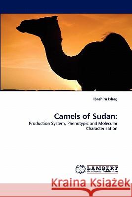 Camels of Sudan Ibrahim Ishag 9783843389334 LAP Lambert Academic Publishing - książka