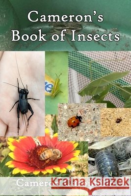 Cameron's Book of Insects Cheryl Carpinello Cameron Carpinello 9781720084594 Independently Published - książka