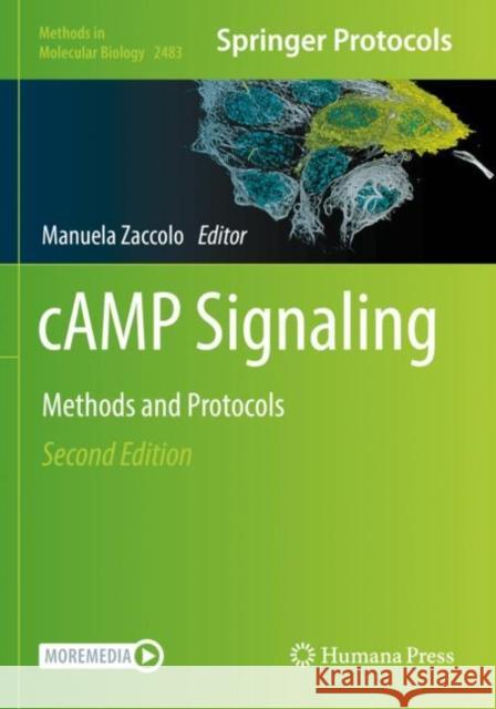 cAMP Signaling: Methods and Protocols Manuela Zaccolo 9781071622476 Humana - książka