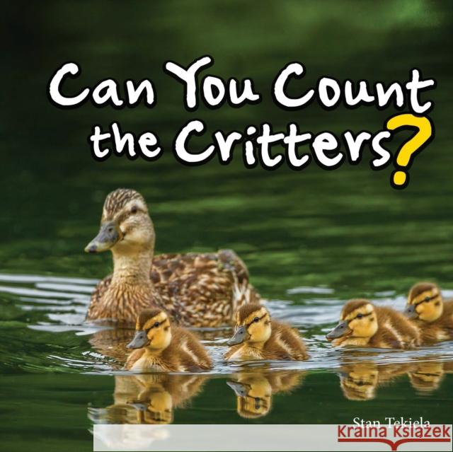 Can You Count the Critters?  9781591938194 Adventure Publications - książka