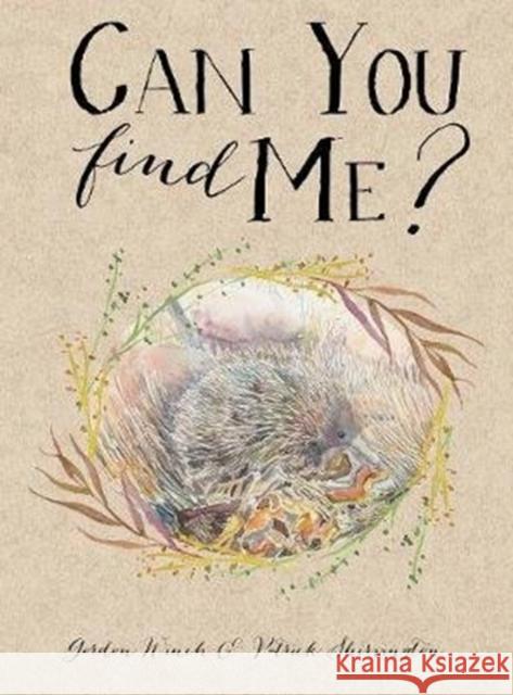 Can You Find Me? Winch, Gordon 9781912858644 New Frontier Publishing - książka