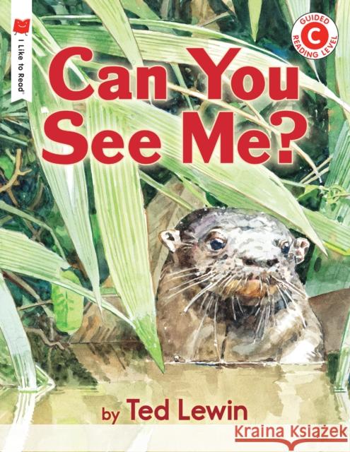 Can You See Me? Ted Lewin Ted Lewin 9780823432998 Holiday House Inc - książka