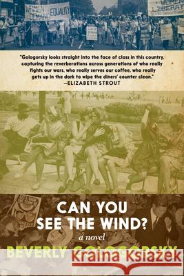 Can You See the Wind? Beverly Gologorsky 9781644211106 Seven Stories Press,U.S. - książka