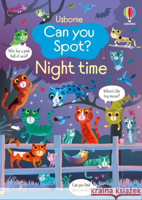 Can you Spot? Night time Kirsteen Robson 9781836041320 Usborne Publishing Ltd - książka