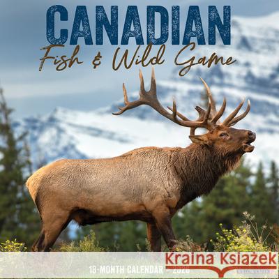 Canadian Fish & Wild Game 2026 12 X 12 Wall Calendar Willow Creek Press 9781549250538 Willow Creek Press Calendars - książka