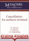 Cancellation for surfaces revisited M. Zaidenberg 9781470453732 American Mathematical Society