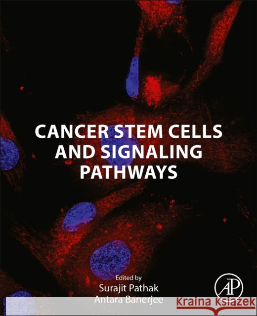 Cancer Stem Cells and Signaling Pathways Surajit Pathak Antara Banerjee 9780443132124 Elsevier Science Publishing Co Inc - książka