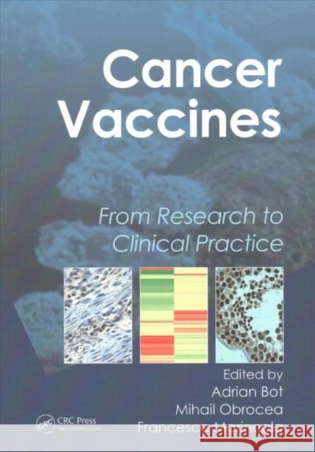 Cancer Vaccines: From Research to Clinical Practice  9781138112605 Taylor and Francis - książka