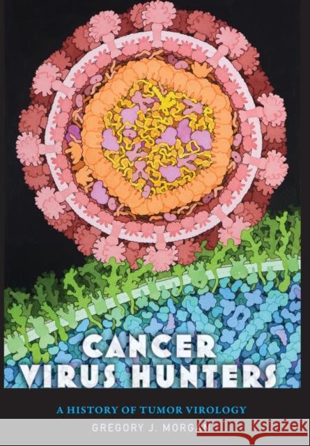 Cancer Virus Hunters: A History of Tumor Virology Gregory J. Morgan 9781421444017 Johns Hopkins University Press - książka