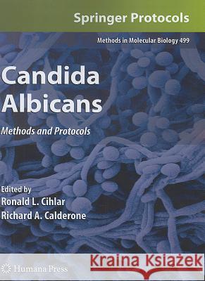 Candida Albicans: Methods and Protocols Cihlar, Ronald L. 9781617377617 Not Avail - książka