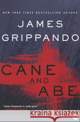 Cane and Abe James Grippando 9780062344144 HarperLuxe - książka