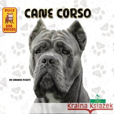 Cane Corso Corinne Fickett 9781039844728 Crabtree Seedlings - książka