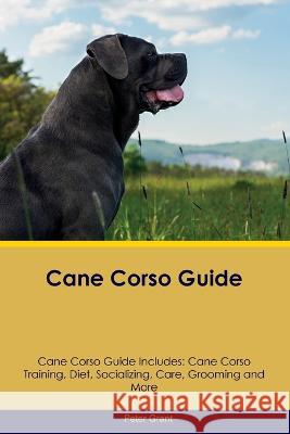 Cane Corso Guide Cane Corso Guide Includes: Cane Corso Training, Diet, Socializing, Care, Grooming, Breeding and More Peter Grant   9781395864200 Desert Thrust Ltd - książka