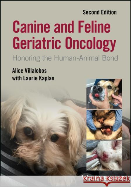 Canine and Feline Geriatric Oncology: Honoring the Human-Animal Bond Villalobos, Alice 9781119290391 Wiley-Blackwell - książka