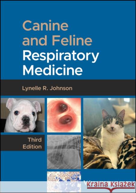 Canine and Feline Respiratory Medicine Lynelle R. Johnson 9781394233366 Wiley-Blackwell - książka