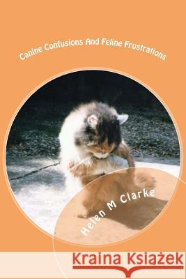 Canine Confusions And Feline Frustrations: A cat and dog saga told through the animals' emails Helen M Clarke 9781536973761 Createspace Independent Publishing Platform - książka