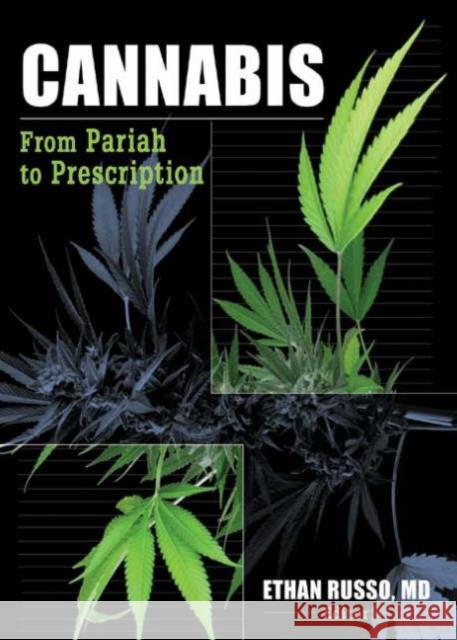 Cannabis: From Pariah to Prescription Russo, Ethan B. 9780789023995 Haworth Herbal Press - książka