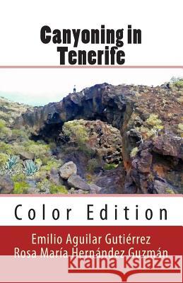 Canyoning in Tenerife (Color) Emilio Aguila Rosa Maria Hernande 9781494928483 Createspace - książka