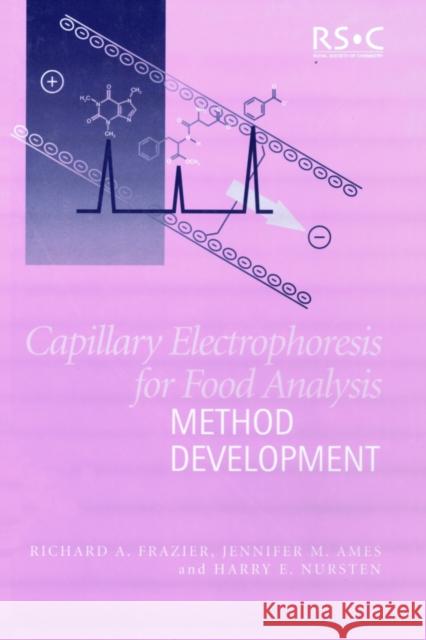 Capillary Electrophoresis for Food Analysis: Method Development Frazier, Richard A. 9780854044924 ROYAL SOCIETY OF CHEMISTRY - książka