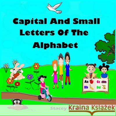Capital And Small Letters Of The Alphabet Fowler, Stacey 9781984219206 Createspace Independent Publishing Platform - książka