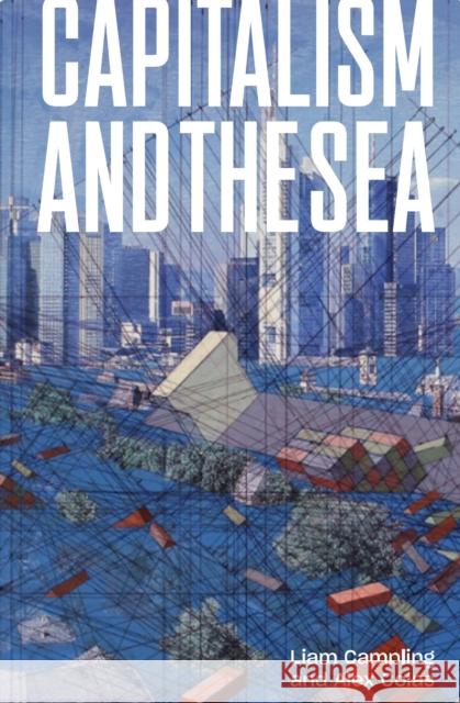 Capitalism and the Sea: The Maritime Factor in the Making of the Modern World Alejandro Colas 9781784785239 Verso Books - książka