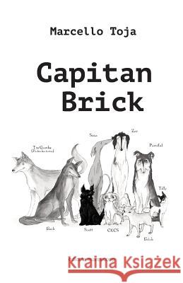 Capitan Brick Marcello Antonio Toj 9781501056772 Createspace Independent Publishing Platform - książka