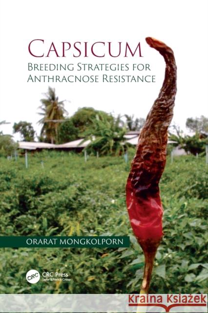 Capsicum: Breeding Strategies for Anthracnose Resistance Orarat Mongkolporn 9781032095035 CRC Press - książka