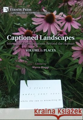 Captioned Landscapes: Intermedial Combinations Beyond the Human: Volume 1: Places Maggi, Marco 9798261600138 Vernon Press - książka