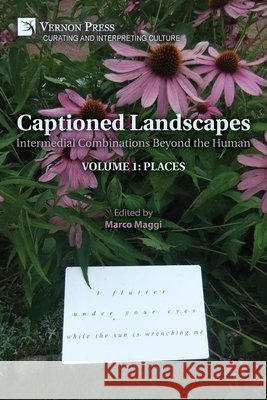 Captioned Landscapes: Intermedial Combinations Beyond the Human: Volume 1: Places Maggi, Marco 9798261600510 Vernon Press - książka