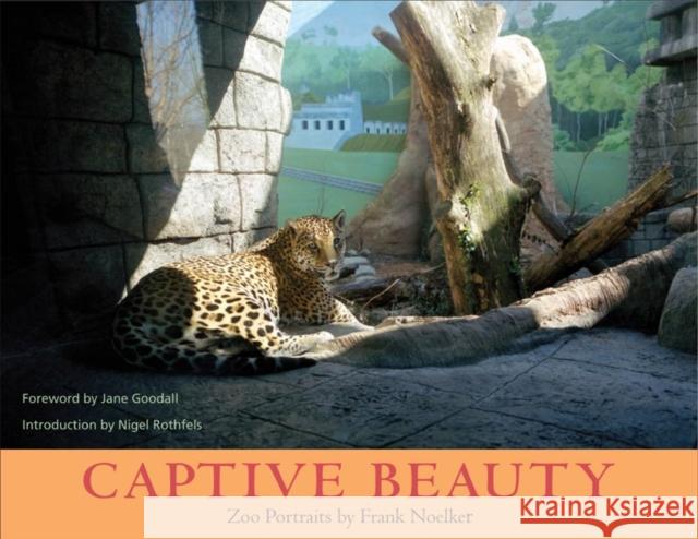 Captive Beauty: Zoo Portraits Noelker, Frank 9780252071690 University of Illinois Press - książka