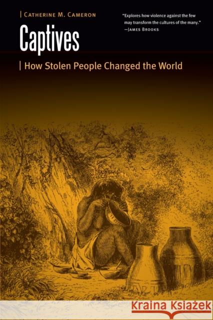 Captives: How Stolen People Changed the World Catherine M. Cameron 9781496222206 University of Nebraska Press - książka