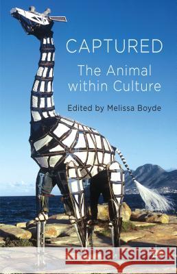 Captured: The Animal Within Culture Boyde, M. 9781137330499  - książka