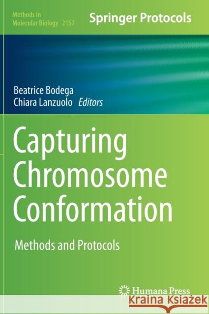 Capturing Chromosome Conformation: Methods and Protocols Bodega, Beatrice 9781071606636 Humana - książka