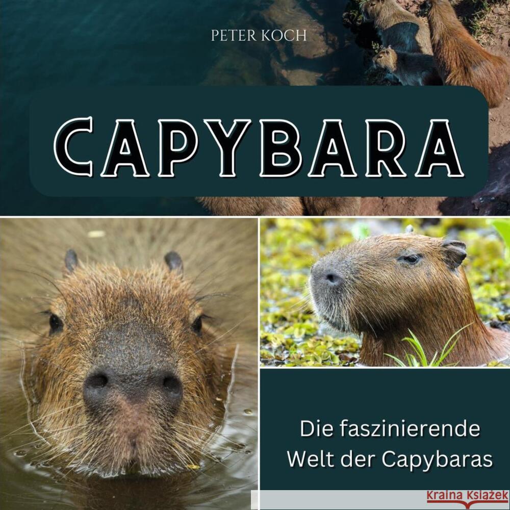 Capybara Koch, Peter 9783750562981 27amigos - książka
