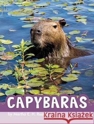 Capybaras Martha Elizabeth Hillman Rustad 9781977126474 Pebble Books - książka
