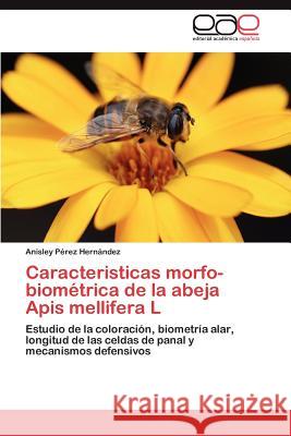 Caracteristicas Morfo-Biometrica de La Abeja APIs Mellifera L Anisley P 9783848465781 Editorial Acad Mica Espa Ola - książka