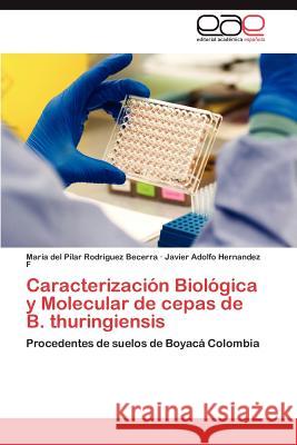 Caracterización Biológica y Molecular de cepas de B. thuringiensis Rodriguez Becerra María del Pilar 9783845495484 Editorial Acad Mica Espa Ola - książka