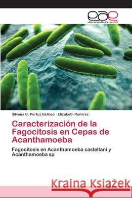 Caracterización de la Fagocitosis en Cepas de Acanthamoeba Pertuz Belloso, Silvana B. 9783659081460 Editorial Academica Espanola - książka