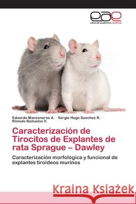 Caracterización de Tirocitos de Explantes de rata Sprague - Dawley Manzanares a., Eduardo 9783659077258 Editorial Academica Espanola - książka