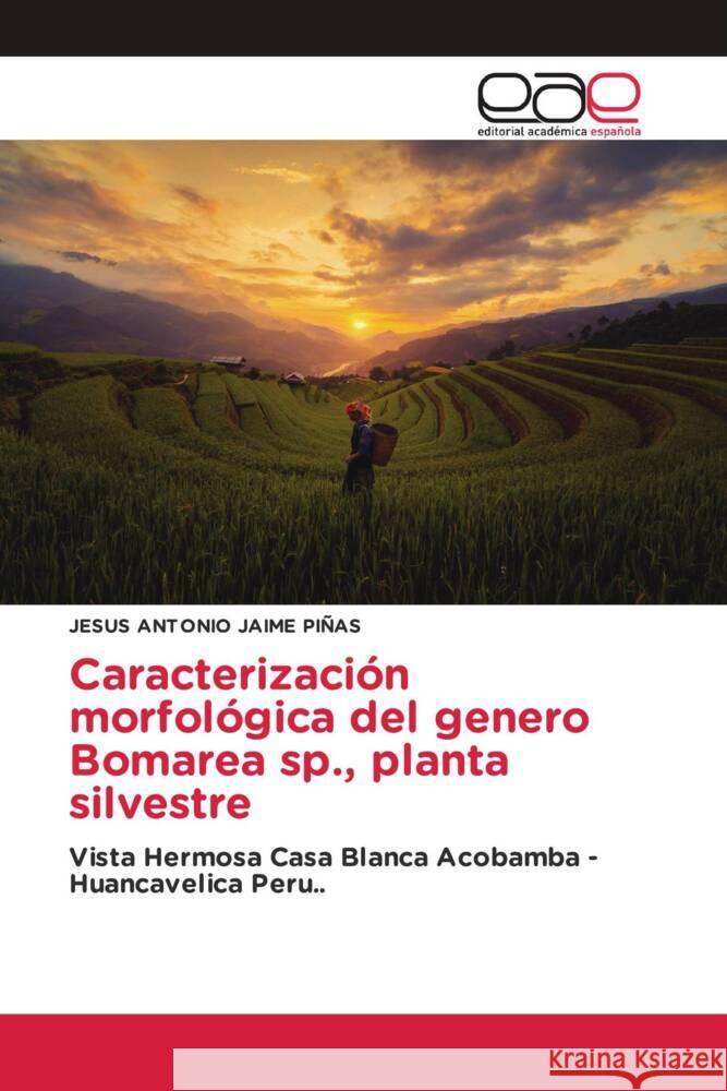 Caracterización morfológica del genero Bomarea sp., planta silvestre Jaime Piñas, Jesus Antonio 9786202136020 Editorial Académica Española - książka